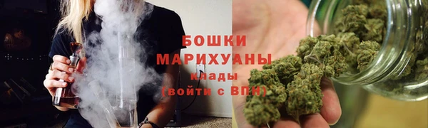 спиды Богородицк