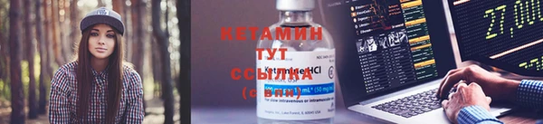 спиды Богородицк