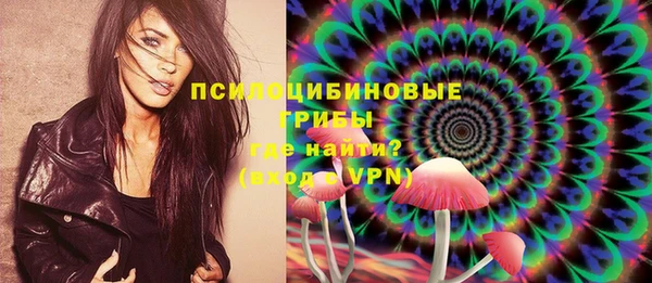 бутират Белокуриха