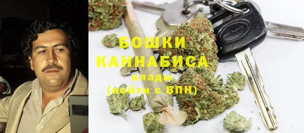 спиды Богородицк
