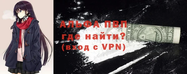 спиды Богородицк